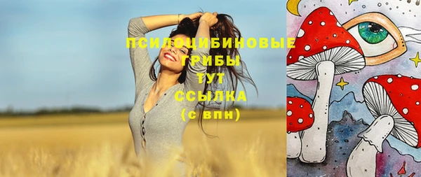 прущая мука Касимов